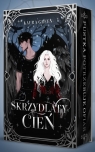 Skrzydlaty cień (ilustrowane brzegi) Laura Green