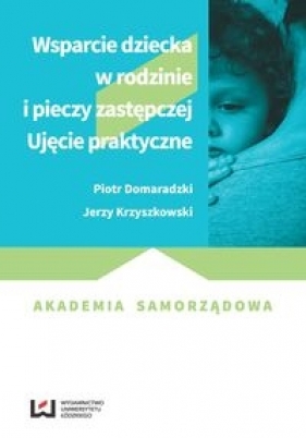 Wsparcie dziecka w rodzinie i pieczy zastępczej - Domaradzki Piotr, Krzyszkowski Jerzy