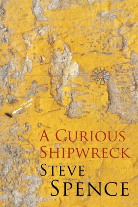 A Curious Shipwreck - Spence Steve