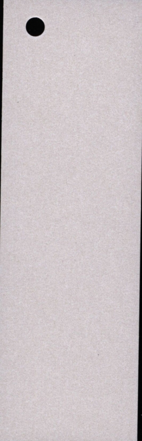Karton W64 wizytówkowy A4- biały metaliczny 10k.
