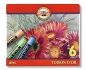 Pastele suche Toison D'Or 6 sztuk