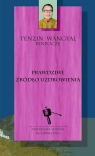 Prawdziwe źródło uzdrowienia Tenzin Wangyal
