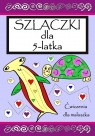 Szlaczki dla 5 latka. Ćwicz pamięć i koncentrację Opracowanie zbiorowe