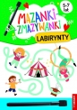 Mazanki-zmazywanki. Labirynty - Anna Borchard