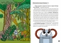 Naturobocik. Tom 1. Wyprawa do lasu deszczowego - Tomasz Samojlik