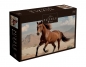 Puzzle 1000: Wild Horses 2