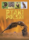 Ptaki Polski Opracowanie zbiorowe