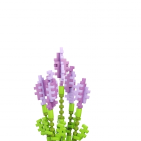 Mini Waffle Garden - Lawenda