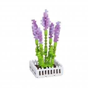 Mini Waffle Garden - Lawenda