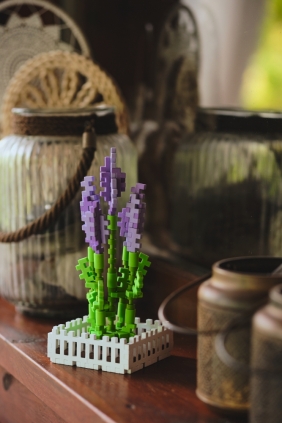 Mini Waffle Garden - Lawenda