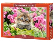 Puzzle Kitten In Flower Garden 500 (B-52974)