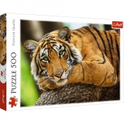 Puzzle 500: Portret tygrysa (37397)