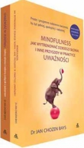 Jak wytrenować dzikiego słonia / Uważność w jedzeniu - Jan Chozen Bays