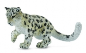 Leopard śnieżny młody bawiący się (88497)