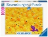 Ravensburger, Puzzle 1000: Challenge Kaczuszki (17097) od 14 lat