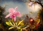 Bluebird Puzzle 1000: Orchidea Cattleya i trzy kolibry (60097)