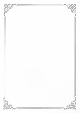 Dyplom Galeria Papieru silver A4 190 g (210719)