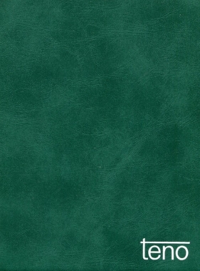 Kalendarz 2017 TENO Klasyczny notes Zieleń