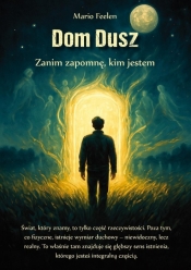 Dom dusz. Zanim zapomnę, kim jestem - Mario Feelen