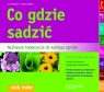 Co gdzie sadzić