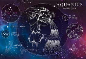 Puzzle 250: Zodiac Signs 11 - Aquarius