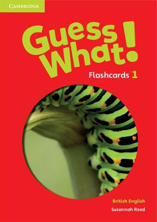 Guess What! 1 Flashcards