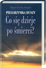 Pielgrzymka duszy. Co się dzieje po śmierci?. Migene Gonzalez Wippler