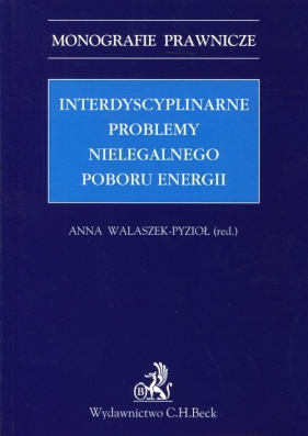 Interdyscyplinarne problemy nielegalnego poboru energii