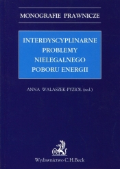 Interdyscyplinarne problemy nielegalnego poboru energii