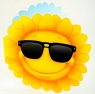  Karnet Uniwersalny - Sunflower