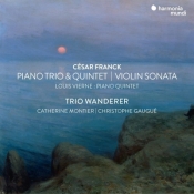 Violin Sonata Piano Trio No 1 & Piano Quintet - Vierne Piano Quintet Trio Wanderer Montier Gaugue (Digipack) (2 CD)