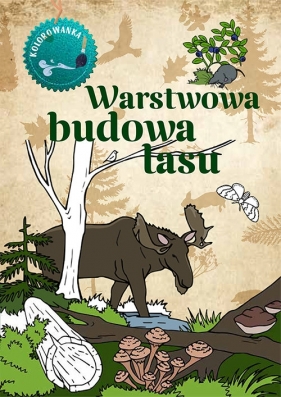 Warstwowa budowa lasu. Kolorowanka - Katarzyna Kopiec-Sekieta