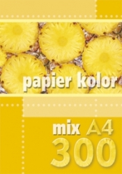 Papier kolorowy A4 300k. mix kolorów
