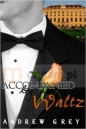 Accompanied by a Waltz - Andrew Grey