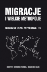 Migracje i wielkie metropolie Migracje i społeczeństwo 15