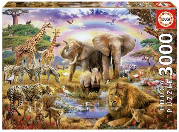 Puzzle 3000 elementów, Tęcza (17698)