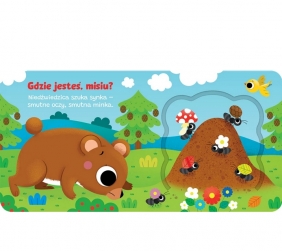 Otwórz okienko! Gdzie jesteś, misiu? - Anna Podgórska