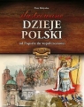 Ilustrowane dzieje Polski Od Popiela do współczesności Piotr Małyszko