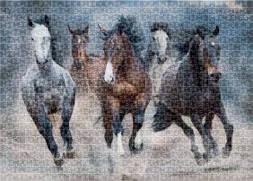 Puzzle 1000: Wild Horses 3