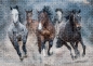 Puzzle 1000: Wild Horses 3