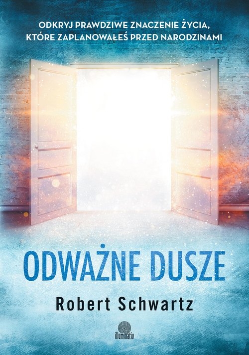 Odważne dusze. Odkryj prawdziwe znaczenie życia które zaplanowałeś przed narodzinami