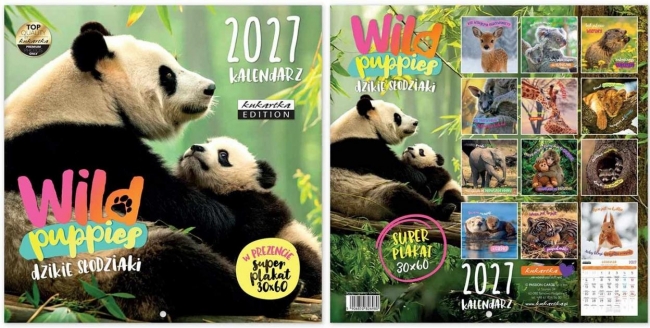 Kalendarz 2027 ścienny Classic Q Wild Puppies