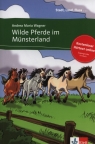 Wilde Pferde im Munsterland +CD Andrea Maria Wagner