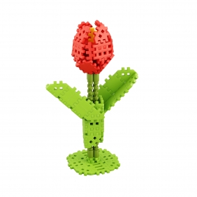 Mini Waffle Garden - Tulipan