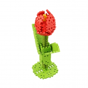 Mini Waffle Garden - Tulipan