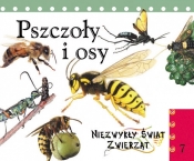 Pszczoły i osy. Niezwykły świat zwierząt - Opracowanie zbiorowe