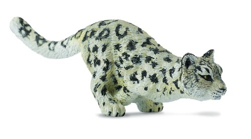 Leopard śnieżny młody biegnący (88498)