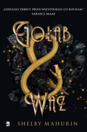 Gołąb i wąż. Tom 1 - Shelby Mahurin