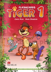 Tiger 1 Flashcards