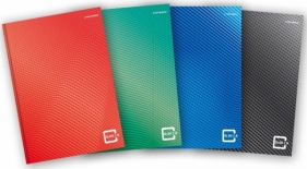 Brulion A4/96K kratka Color 2.0 (5szt)